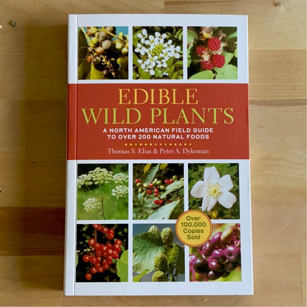 Edible wild plants
